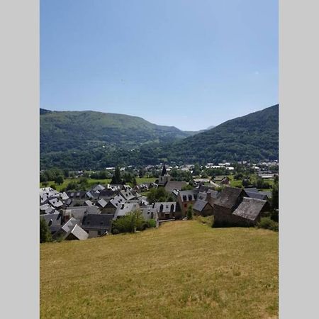 St Lary-Vignec Charmant Studio Au Calme Eksteriør billede