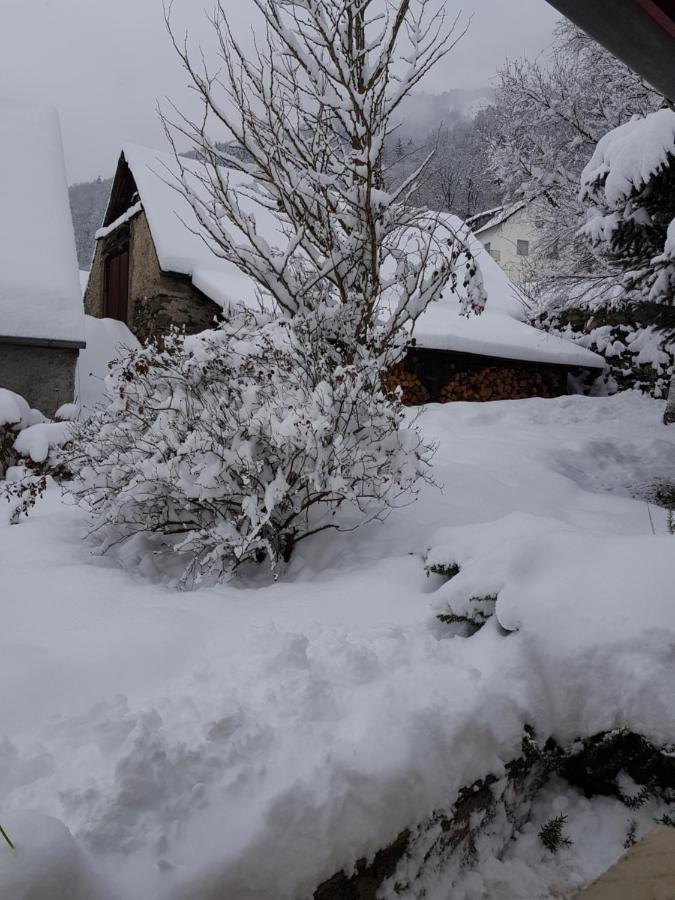 St Lary-Vignec Charmant Studio Au Calme Eksteriør billede